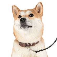 Load image into Gallery viewer, Ink Link Pet Leash